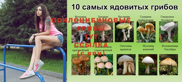 каннабис Баксан