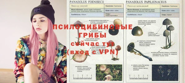 каннабис Баксан