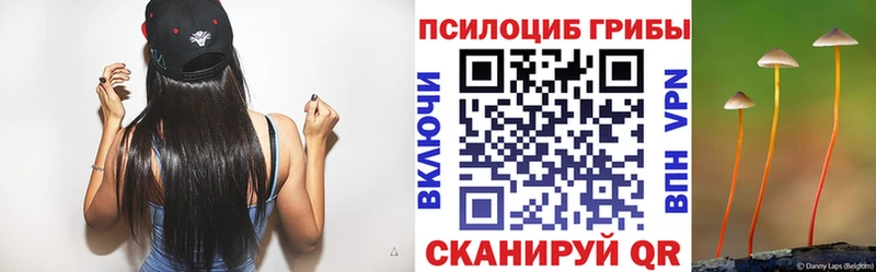 маркетплейс как зайти  где можно купить наркотик  Новоульяновск  Галлюциногенные грибы Psilocybine cubensis 